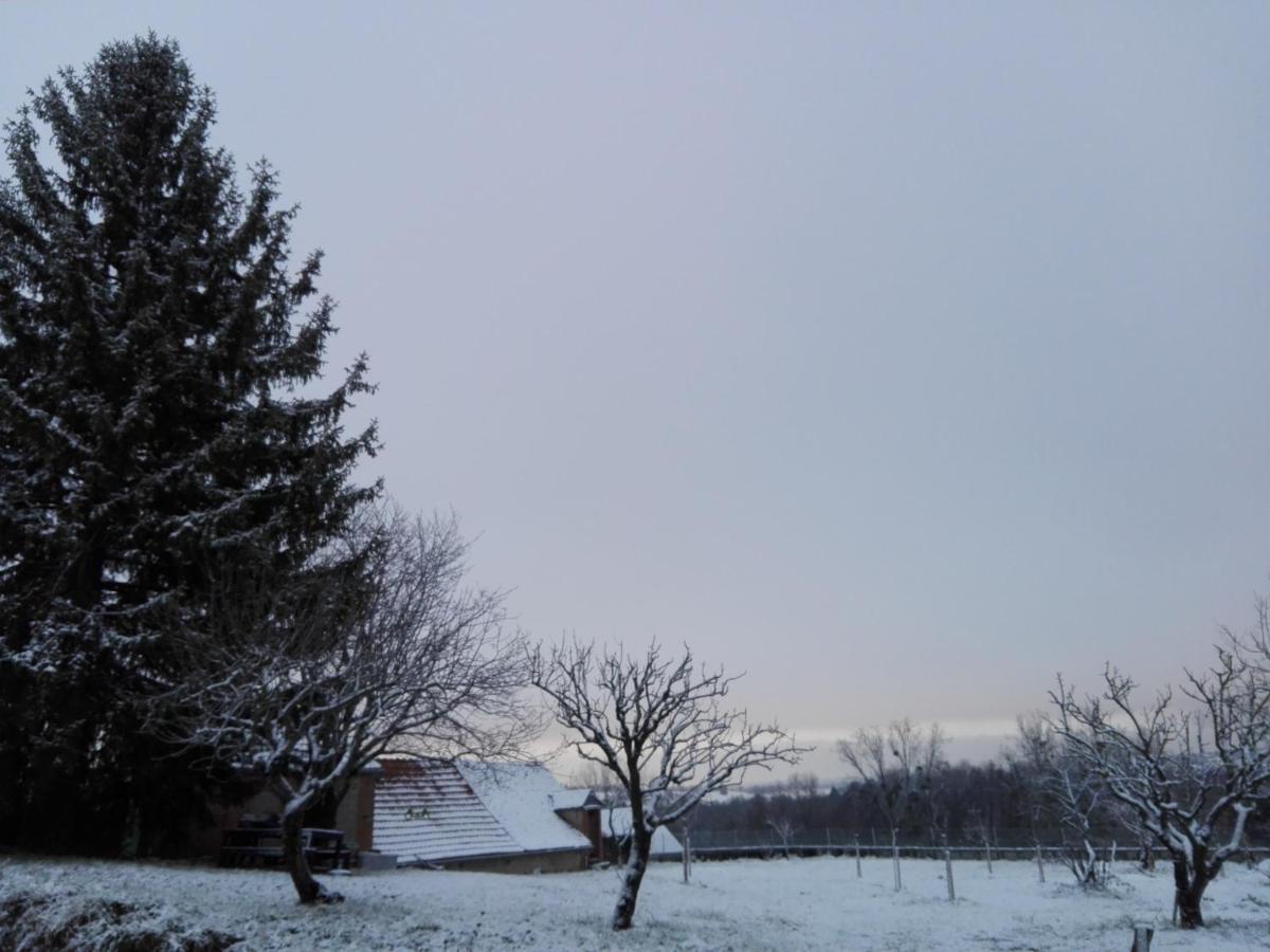 Chez Casimir Bed and Breakfast Cercy-la-Tour Buitenkant foto
